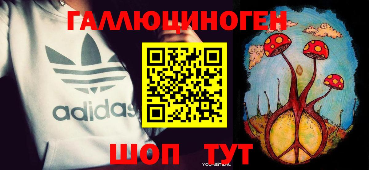 Заволжье  Галлюциногенные грибы Psilocybine cubensis  Вход с VPN 