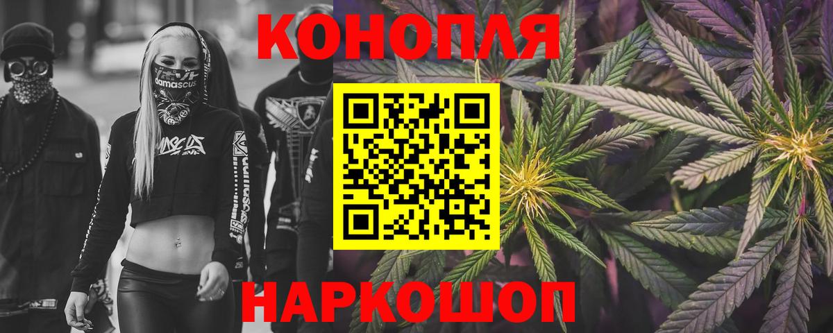 Бошки марихуана сатива Заволжье